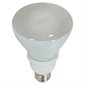 CFL R30 Bulb