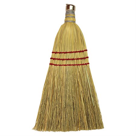 Wisk Broom