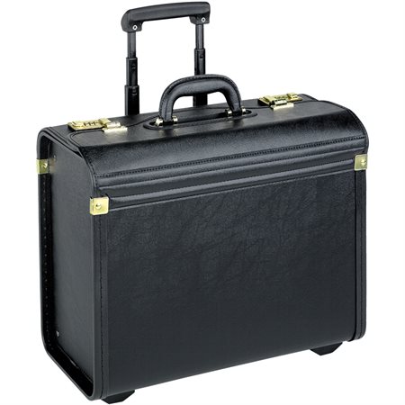 Oversized Rolling Catalogue Case