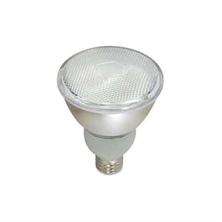 15-watt PAR30 CFL Floodlight