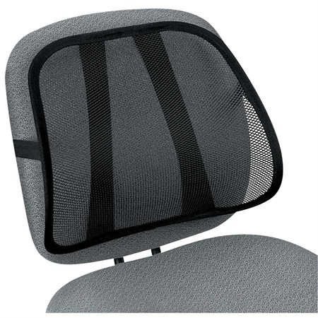 Mesh Backrest