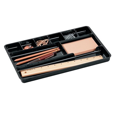 Regeneration® Drawer Tray Organizer