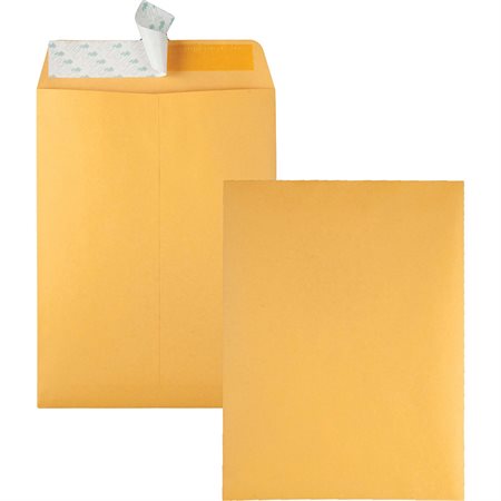 Kraft Catalogue Envelope