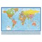 Laminated World Wall Map