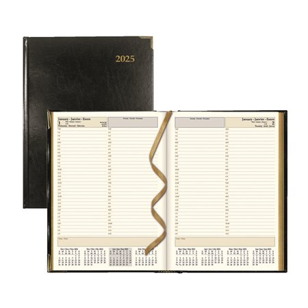 Daily Planner (2025)