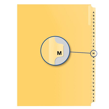 Alphabetical Litigation Index Dividers