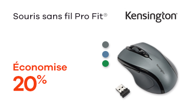 Souris sans fil