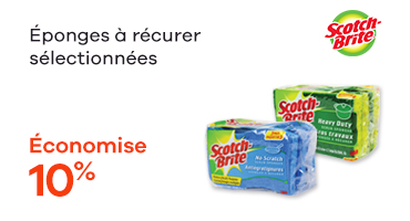 Eponge a recurer