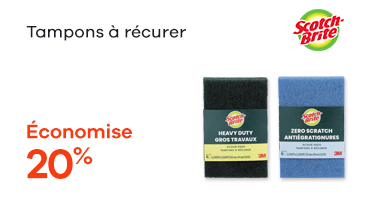 Tampon a recurer anti rayures